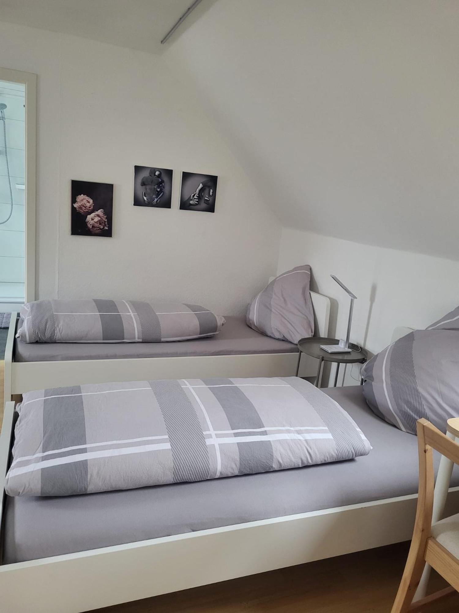 A&V Apartments Gemuetliche Rheinblick Wohnung Apt Daisy 杜伊斯堡 外观 照片